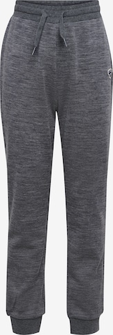 Hummel Trousers in Grey: front