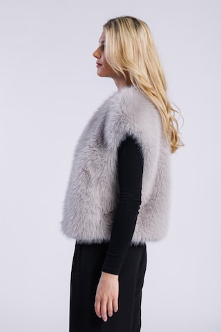 FREAKY NATION - Chaleco ' Cozy Fake Fur Vest ' en gris