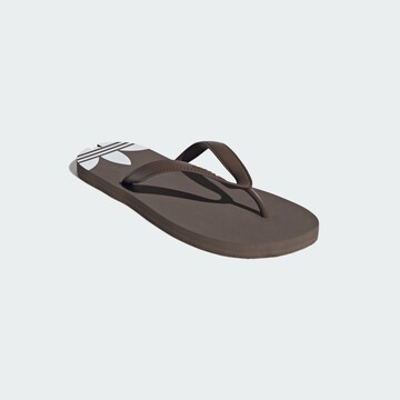 Tongs 'Adi Sun' ADIDAS ORIGINALS en marron