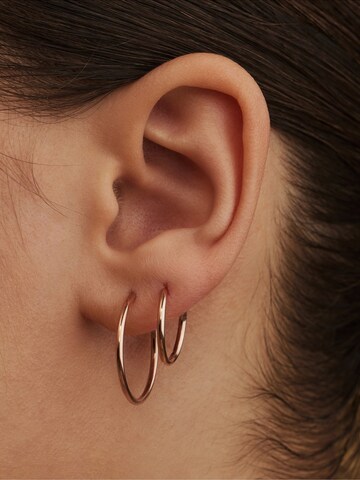 Isabel Bernard Earrings in Gold: front