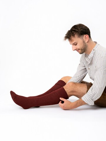 HerzSticht Traditional Socks 'Silberdistel' in Red