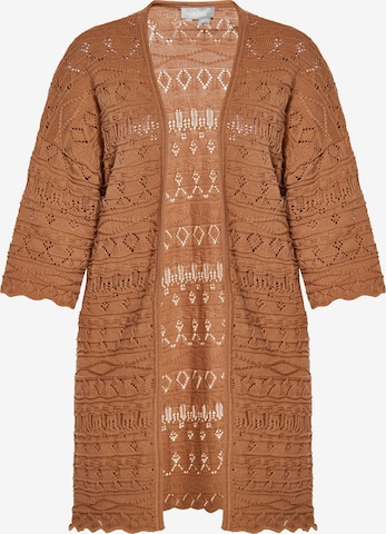 Usha Knit Cardigan in Brown: front