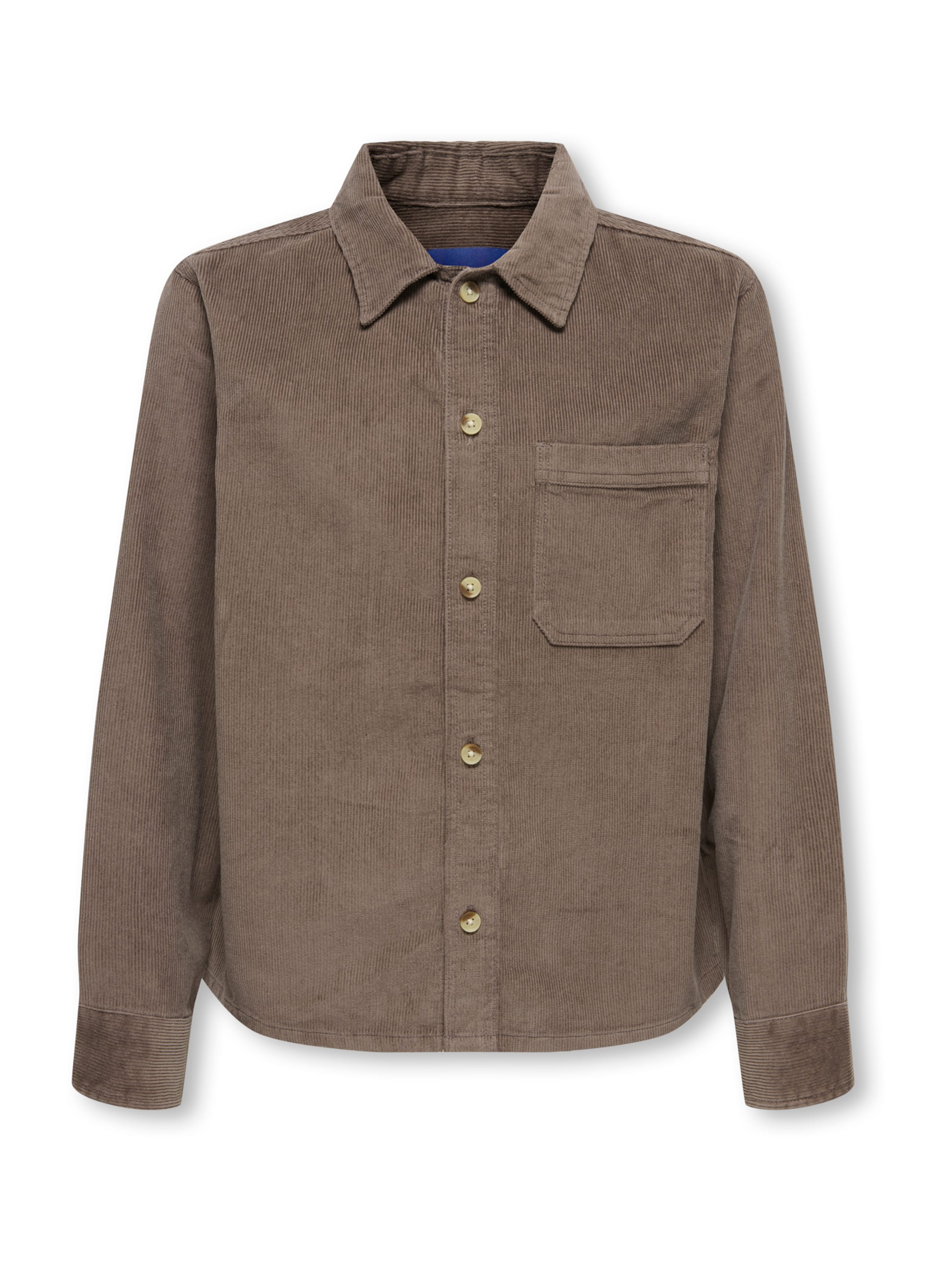 Only & Sons Junior Regular fit Πουκάμισο 'OSJALARIC' σε καφέ: μπροστά