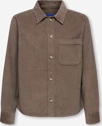 Only & Sons Junior Regular Fit Paita 'OSJALARIC' värissä ruskea: etupuoli