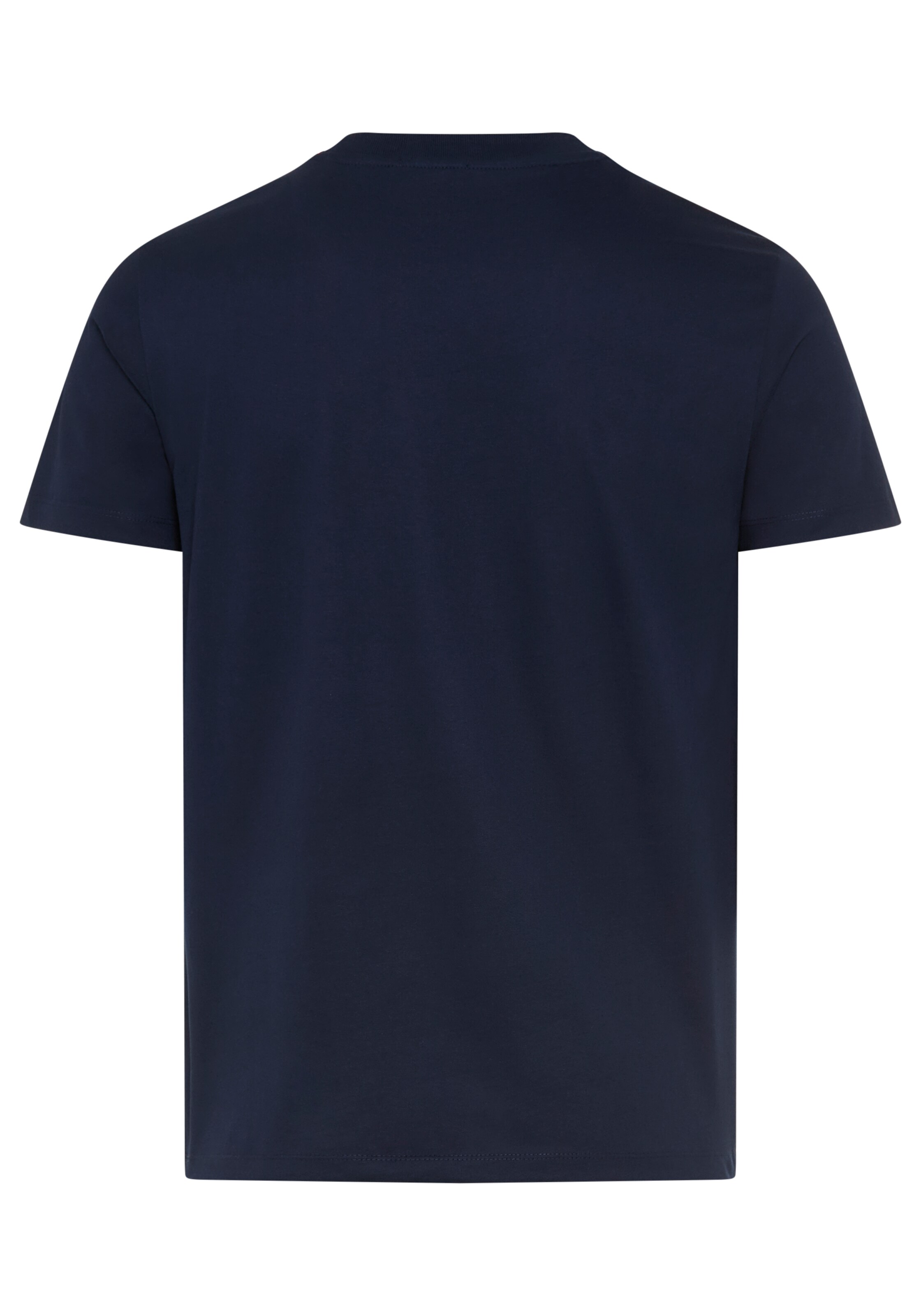 REPLAY Shirt in Blue