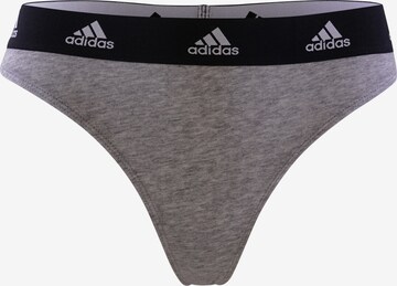 ADIDAS SPORTSWEAR Tanga ' Active Comfort Cotton ' in Grau