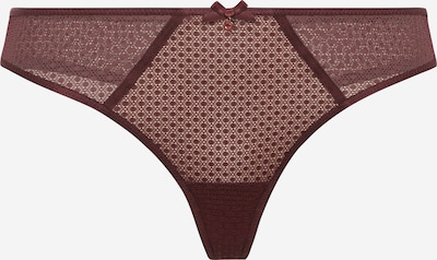 LASCANA Thong in Wine red, Item view