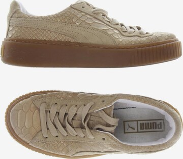 PUMA Sneakers & Trainers in 37 in Brown: front