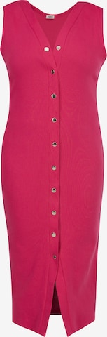 Karko Gebreide jurk 'ALENKA ' in Roze: voorkant