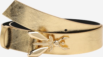 PATRIZIA PEPE Belt in Gold: front