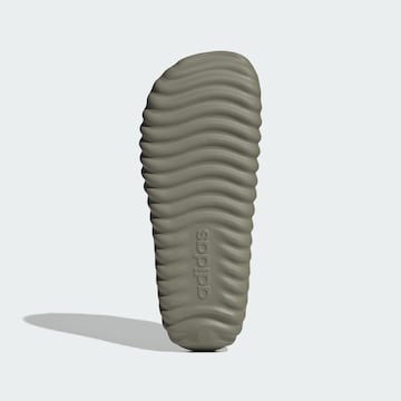 ADIDAS SPORTSWEAR Beach & swim shoe ' Adissage ' in Green