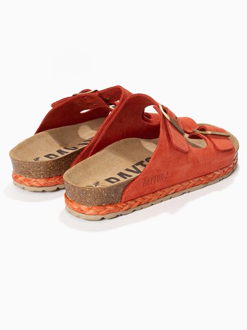 Bayton Mule 'Athena' in Red