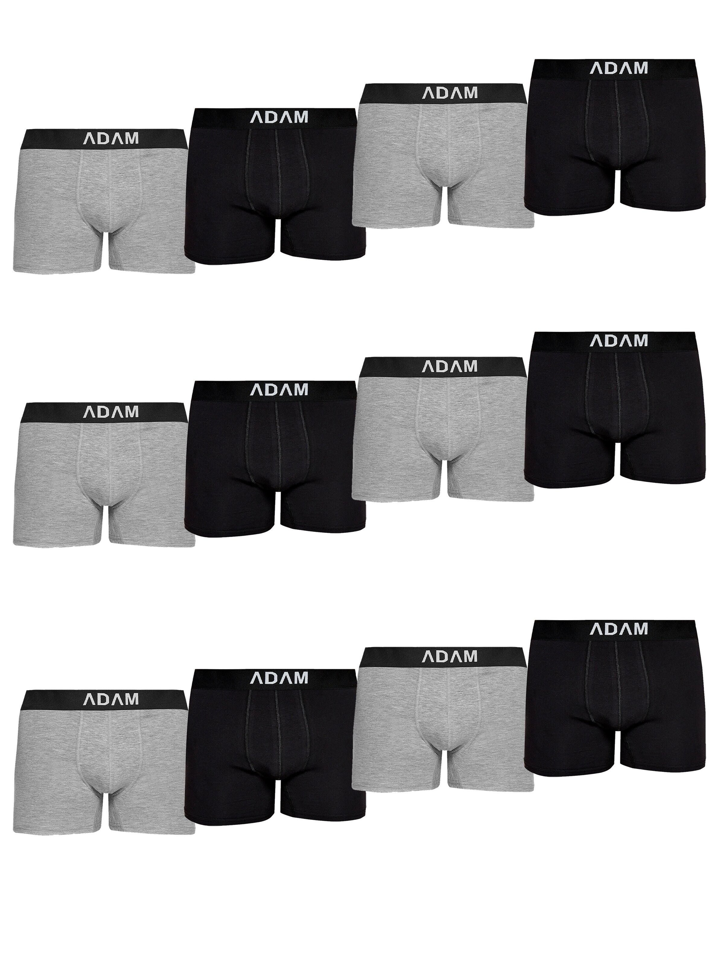 Adam Boxer shorts '12er Pack' in Grey: front