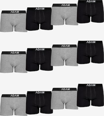 Adam Boxershorts '12er Pack' in Grau: Vorderseite