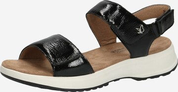 CAPRICE Sandals in Black: front