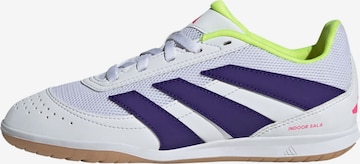 ADIDAS PERFORMANCE - Calzado deportivo 'Predator Club Sala' en blanco: frente