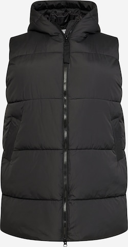 ABOUT YOU Curvy Vest 'Charis' in Black: front