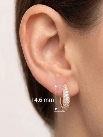 Jobo Earrings in Gold