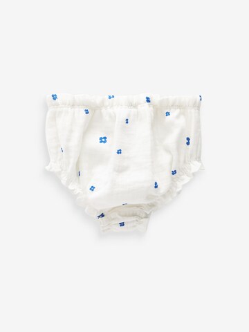 Next Underpants in Blue