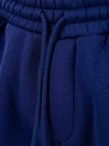 Smilodox Regular Broek in Blauw