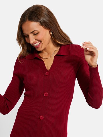 Threadbare Gebreide jurk 'Elm' in Rood