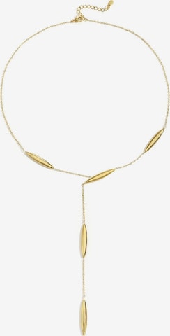 auksinė Cala Rose Grandinėlė 'SLEEK MARQUISE': priekis