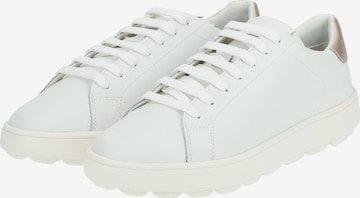 Sneaker bassa di GEOX in bianco