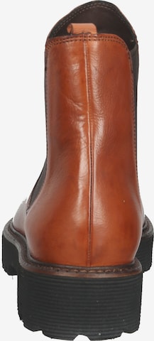 Everybody Chelsea Boots in Brown