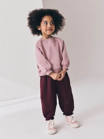 Next Sweatshirt in Lila