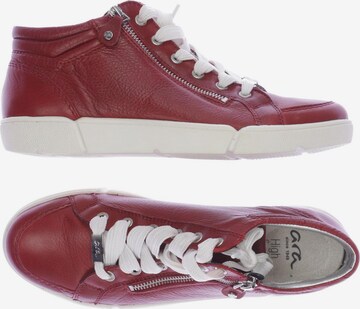 ARA Sneaker 40,5 in Rot: predná strana