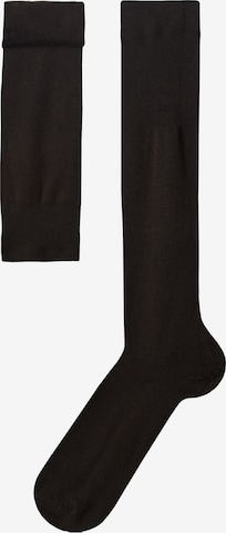 CALZEDONIA Socks in Brown: front