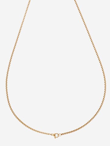 Collana di TOMMY HILFIGER in oro