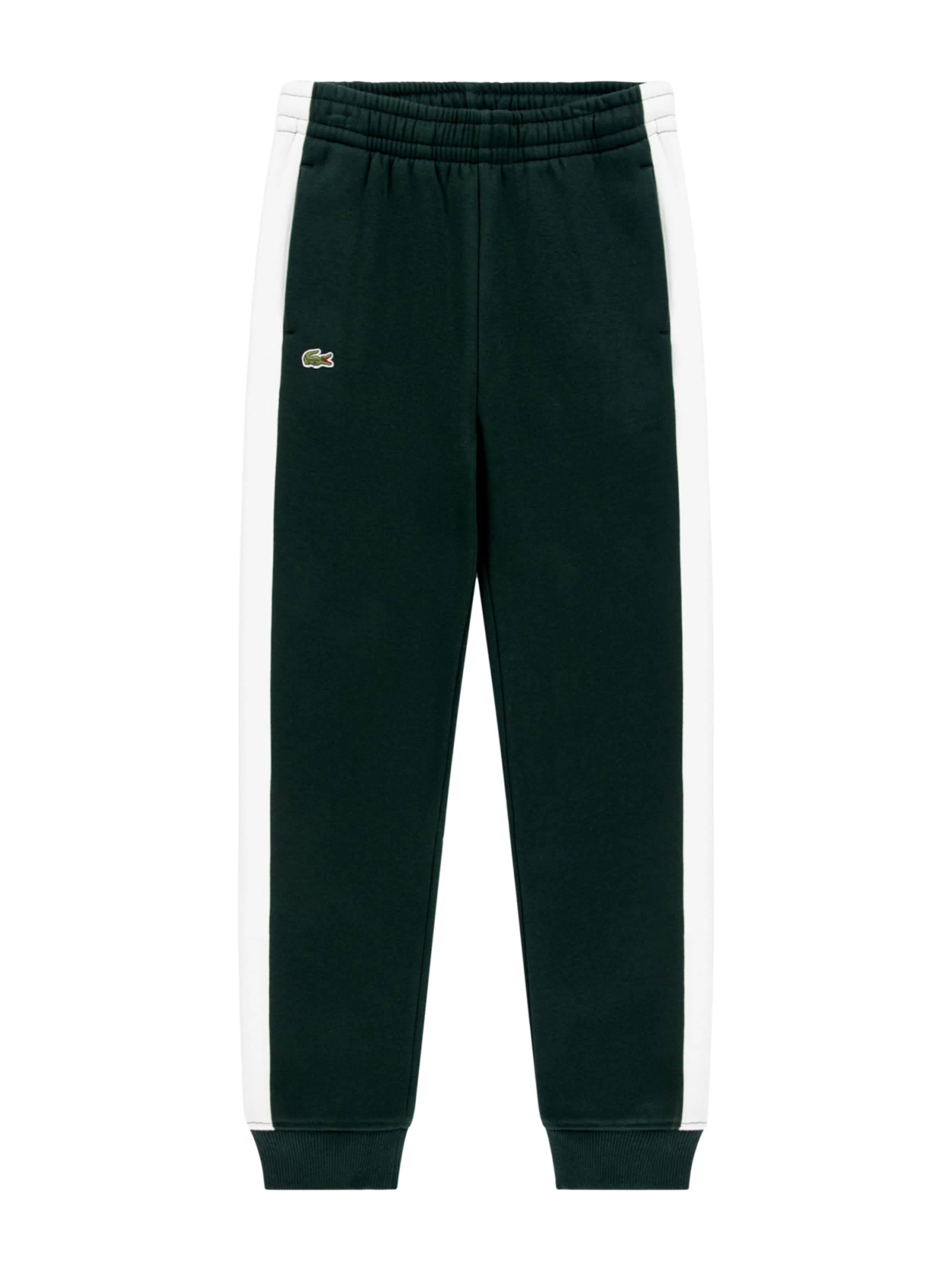 LACOSTE Regular Hose in Grün: Vorderseite