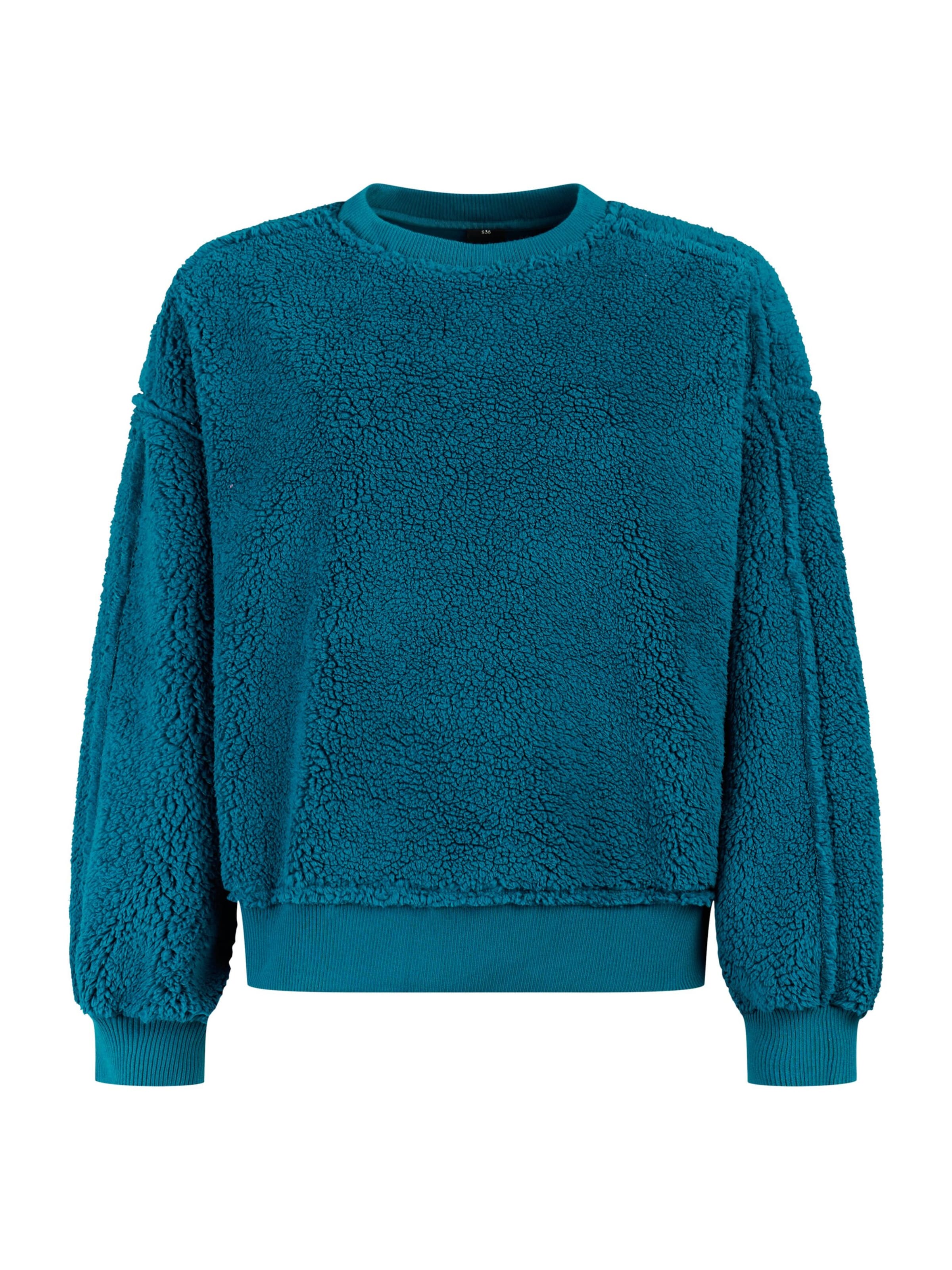 PROTEST Pullover 'PRTAidan'‌‌‌‌‌‌‌‌ in Blau: Vorderseite