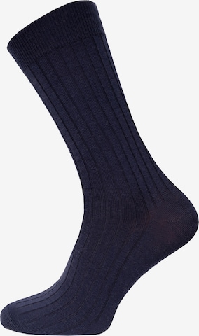HomeOfSocks Socks 'HOS708' in Blue: front