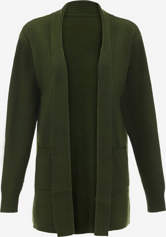 aleva Knit Cardigan in Green: front
