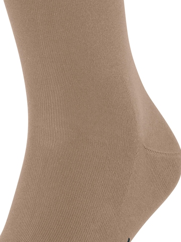 FALKE Cool 24/7 in Beige