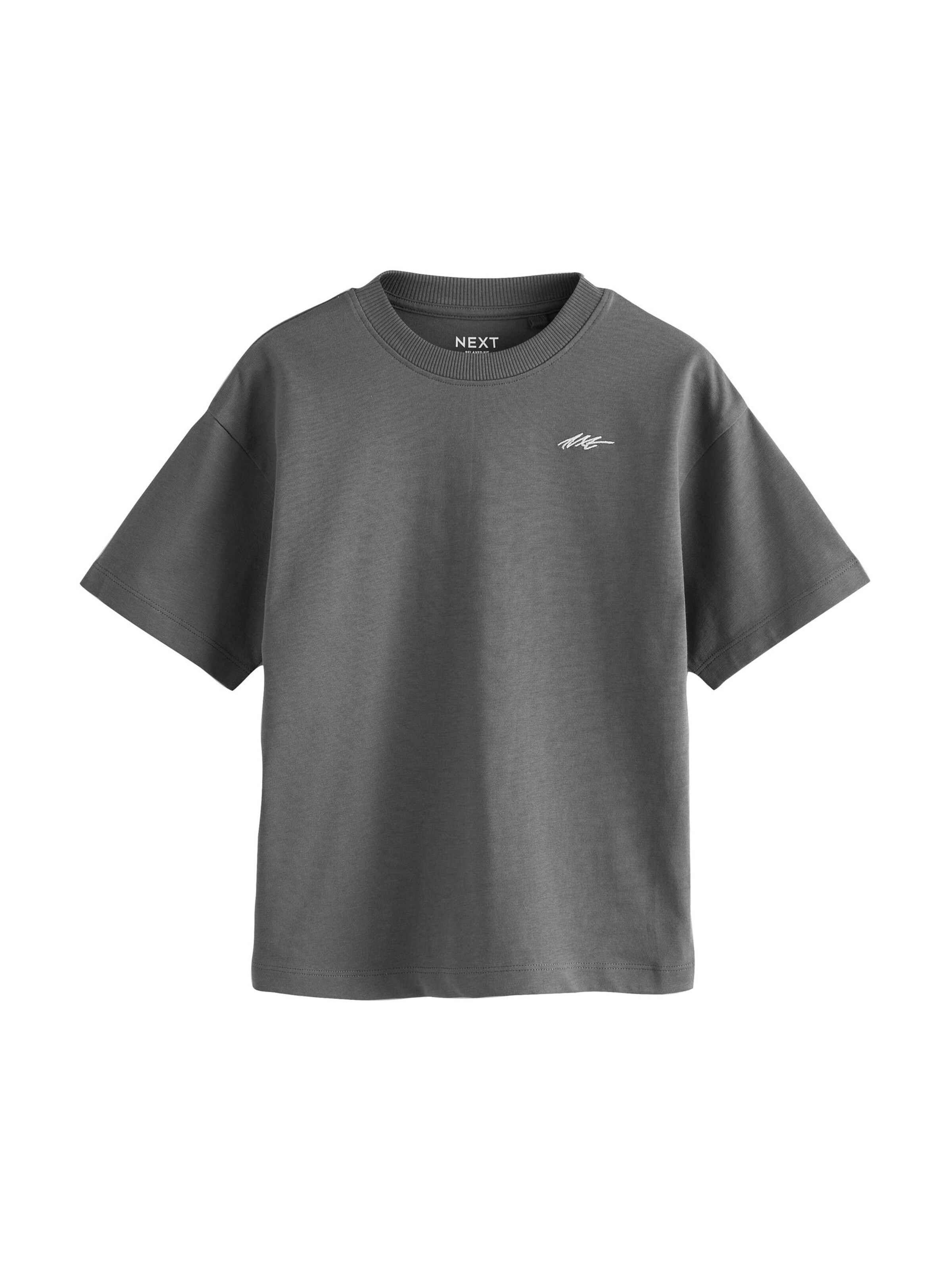 Next Koszulka w kolorze mieszane kolory