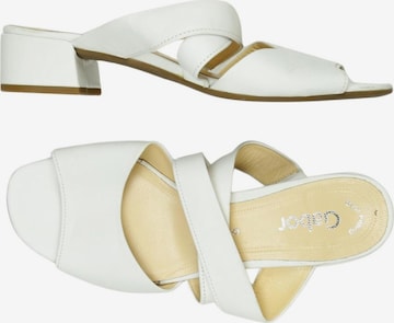 GABOR Sandals & High-Heeled Sandals in 39 in White: front