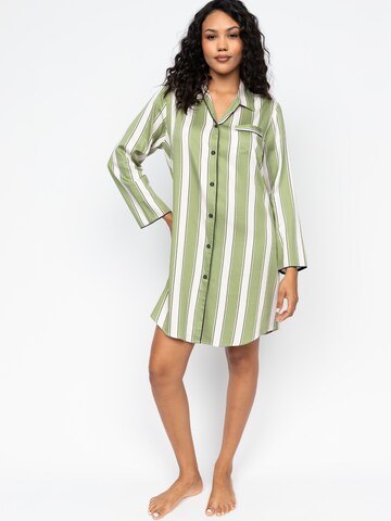 Cyberjammies Nachthemd 'Nancy' in Grün: Vorderseite