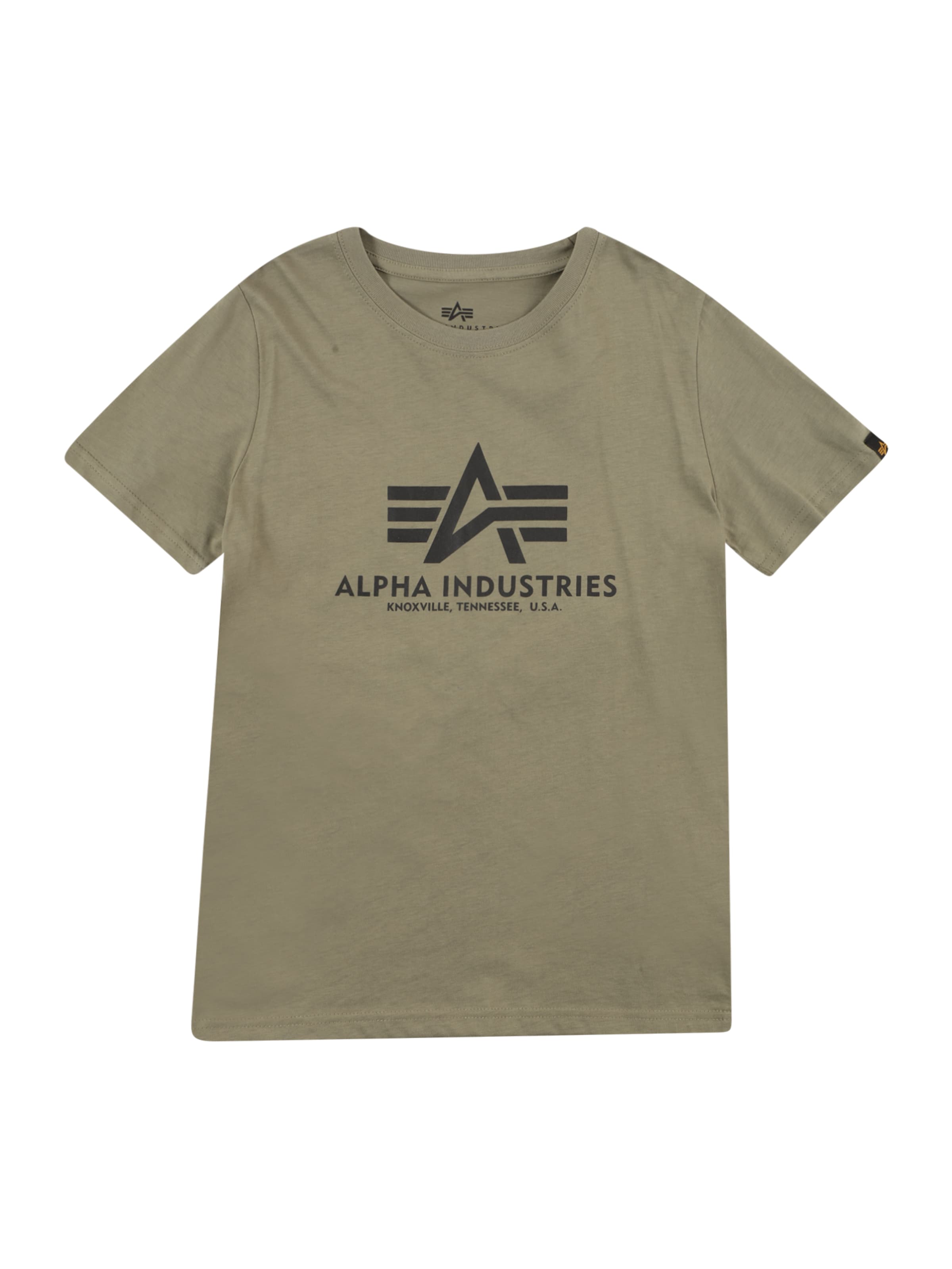 ALPHA INDUSTRIES Shirt in Groen: voorkant