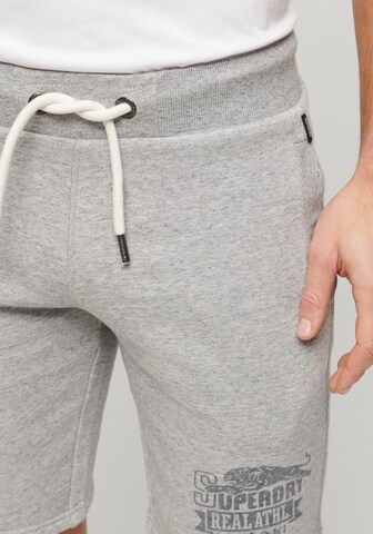 Superdry Regular Pants in Grey