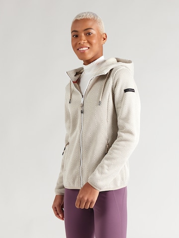 ICEPEAK Athletic Fleece Jacket 'ADRIAN' in Brown: front
