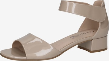 CAPRICE Sandals in Beige: front