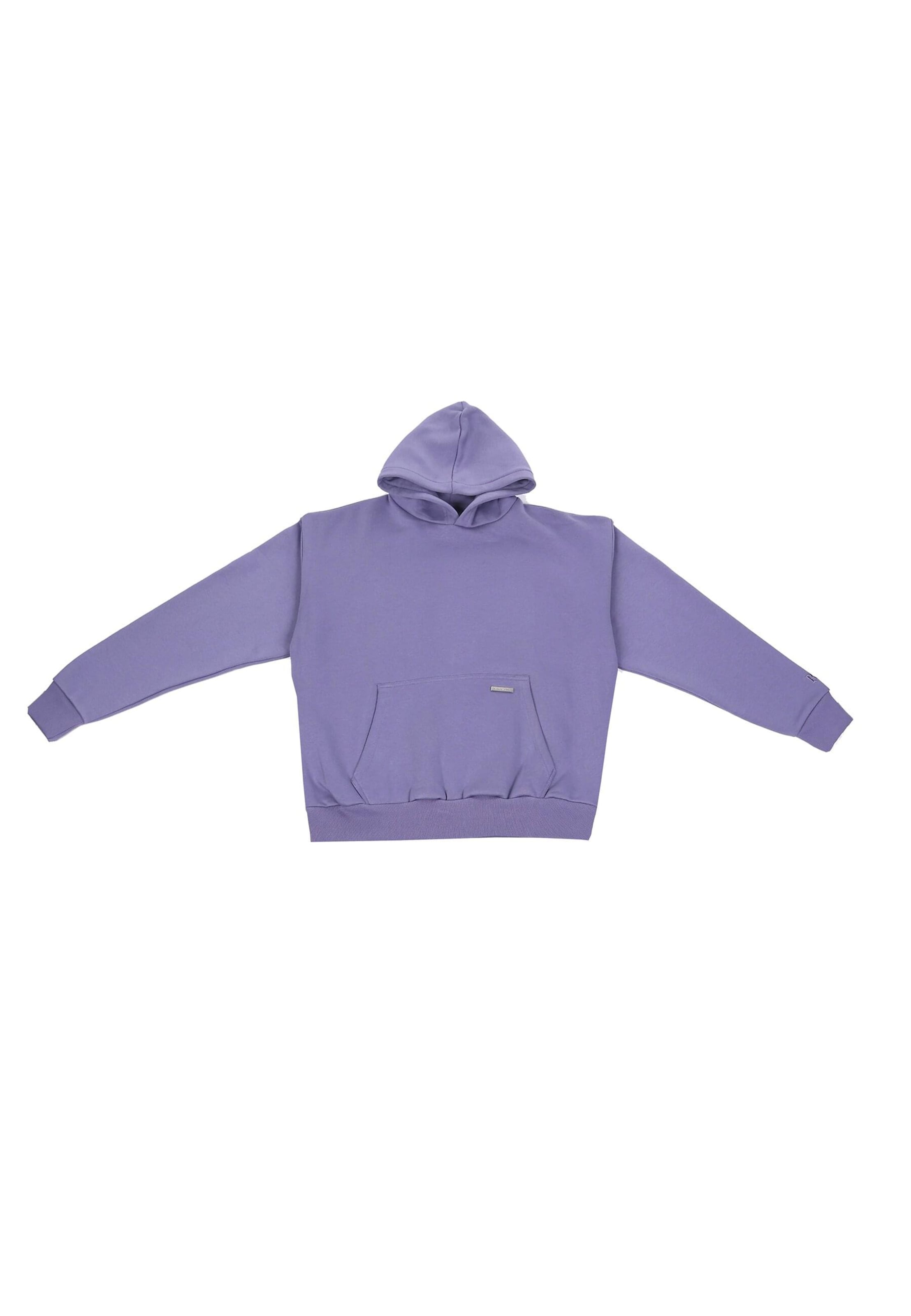 Dropsize Sweatshirt in Purple: front