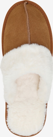 HotSquash Slipper in Brown