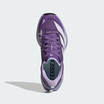 Chaussure basse 'Agravic TT' ADIDAS TERREX en violet