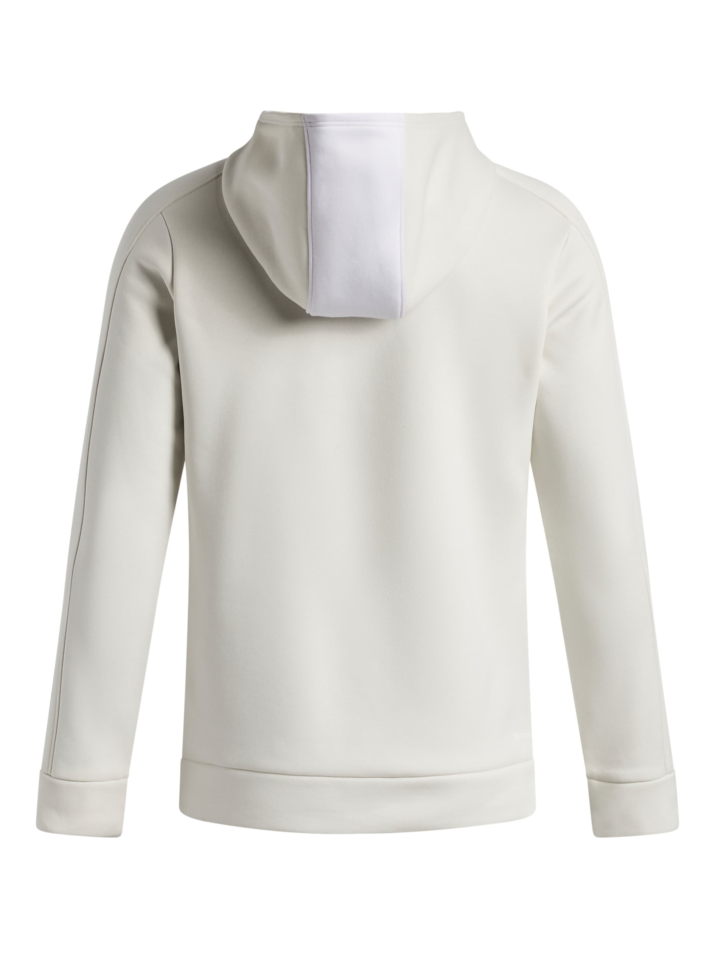 UNDER ARMOUR Sportief sweatshirt in Wit