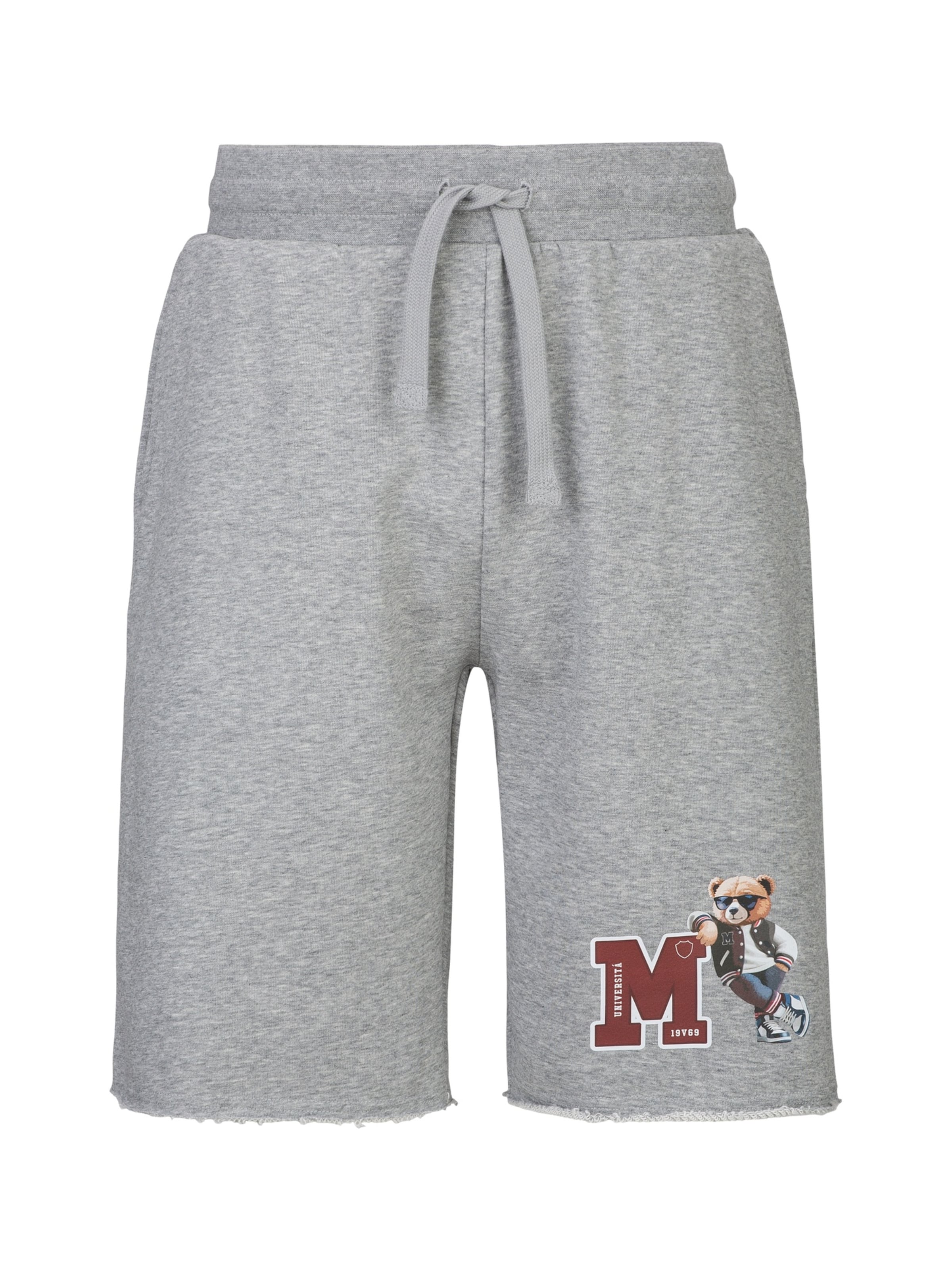 Regular Pantalon 'Meo College' 19V69 ITALIA en gris : devant