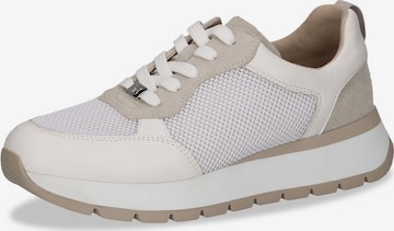 Baskets basses CAPRICE en beige : devant